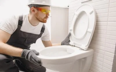 Toilet Replacement Guide