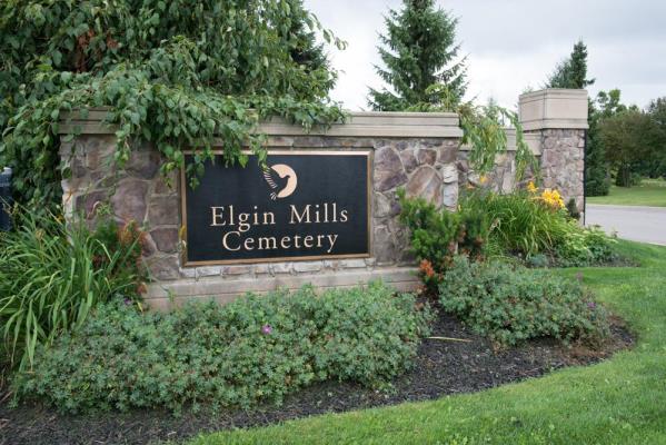 Elgin Mills, Richmond Hill Area