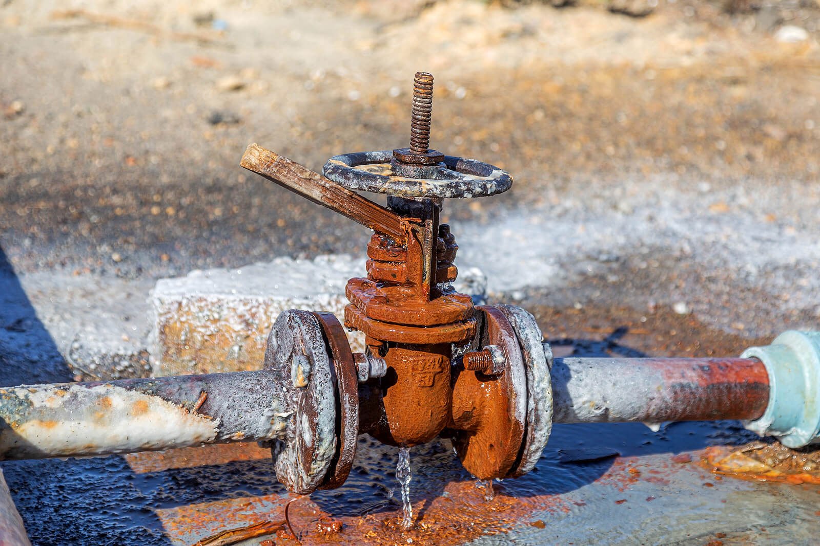 Leaky Valve Plumber Woodbine Gardens East York
