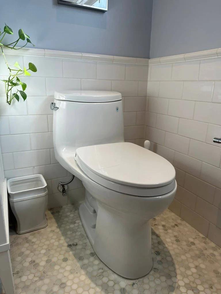Toilet Replace Plumber