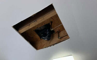 Leak in the Kitchen Ceiling